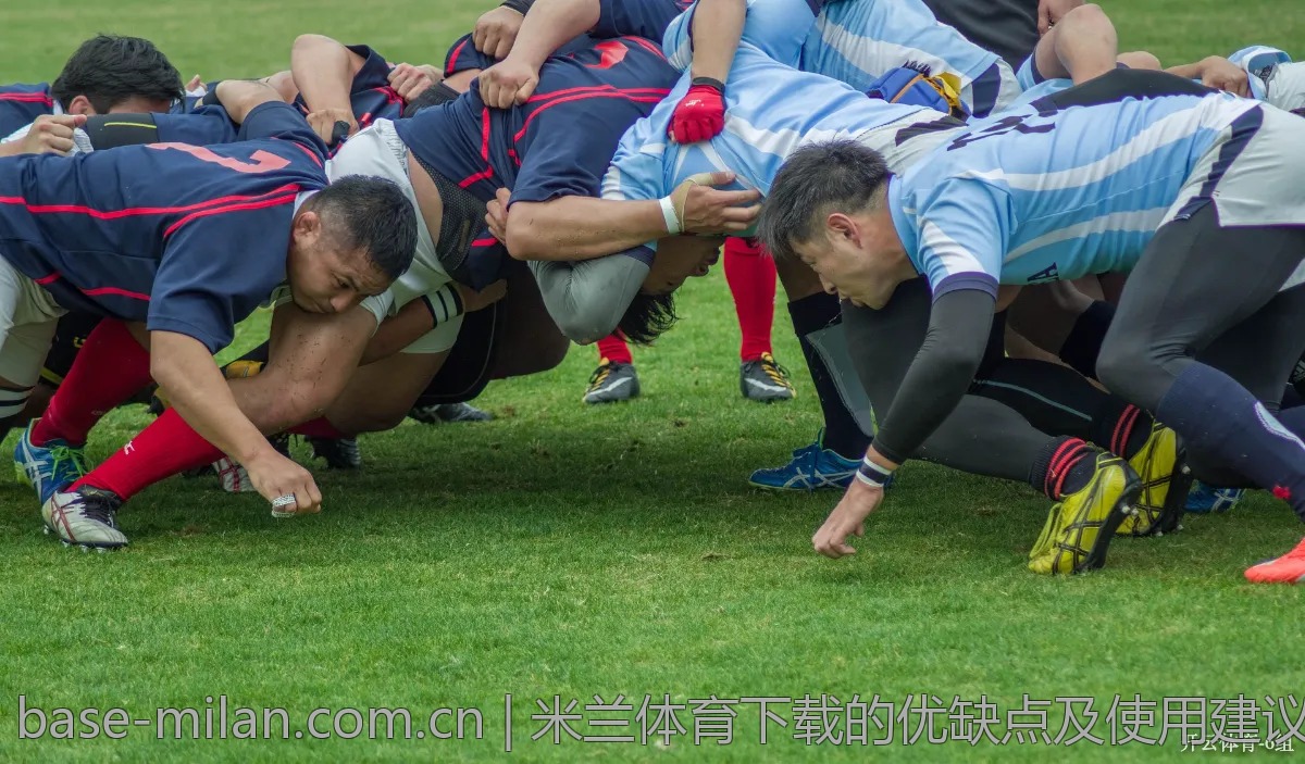 米兰体育下载的优缺点及使用建议