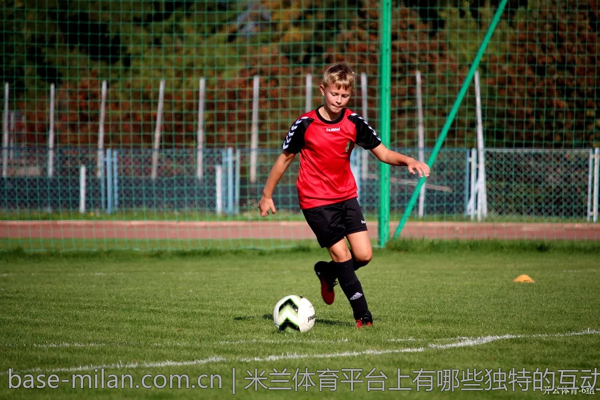 米兰体育平台上有哪些独特的互动功能？