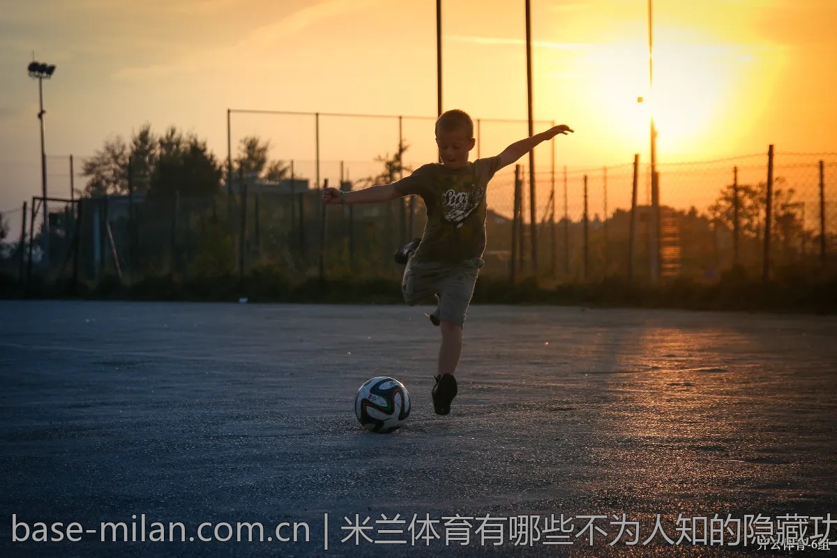 米兰体育有哪些不为人知的隐藏功能？探讨分享